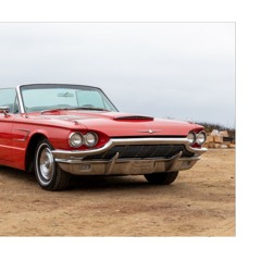 My T-Bird and You