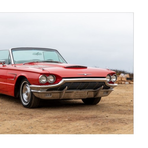 My T-Bird and You