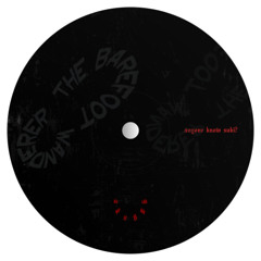 The Barefoot Wanderer EP [AKS006] - Snippets