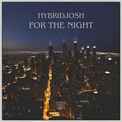 HybridJosh - For The Night