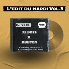 TE BOTE - BAD BUNNY, NIO GARCIA &amp; CASPER MMAGICO (Valou Bouyon Acap Edit)