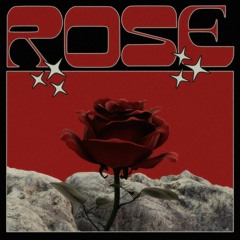 Persian Moody - Rose