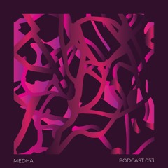 Podcast 053 - MEDHA