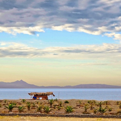 Blessed Summer 2021, Ecstatic Dance, Contact, Tantra, FSTU by Ecstatic Radiance