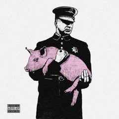 TOWN FULLA PIGS