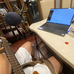 It Sure Took A Long Long Time (Lobo) covered by DucBeer