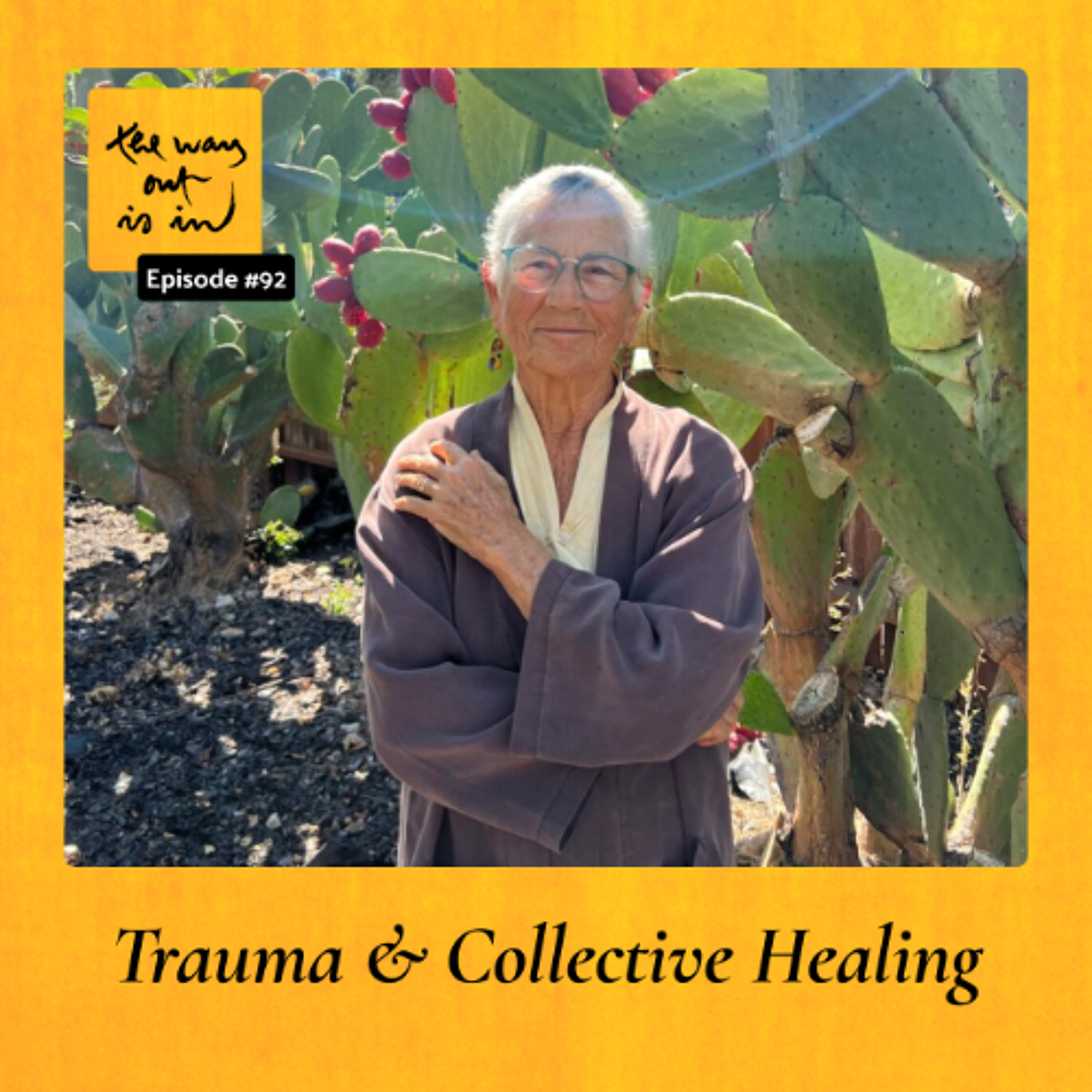 Trauma and Collective Healing | TWOII podcast | Episode 92 episode artwork