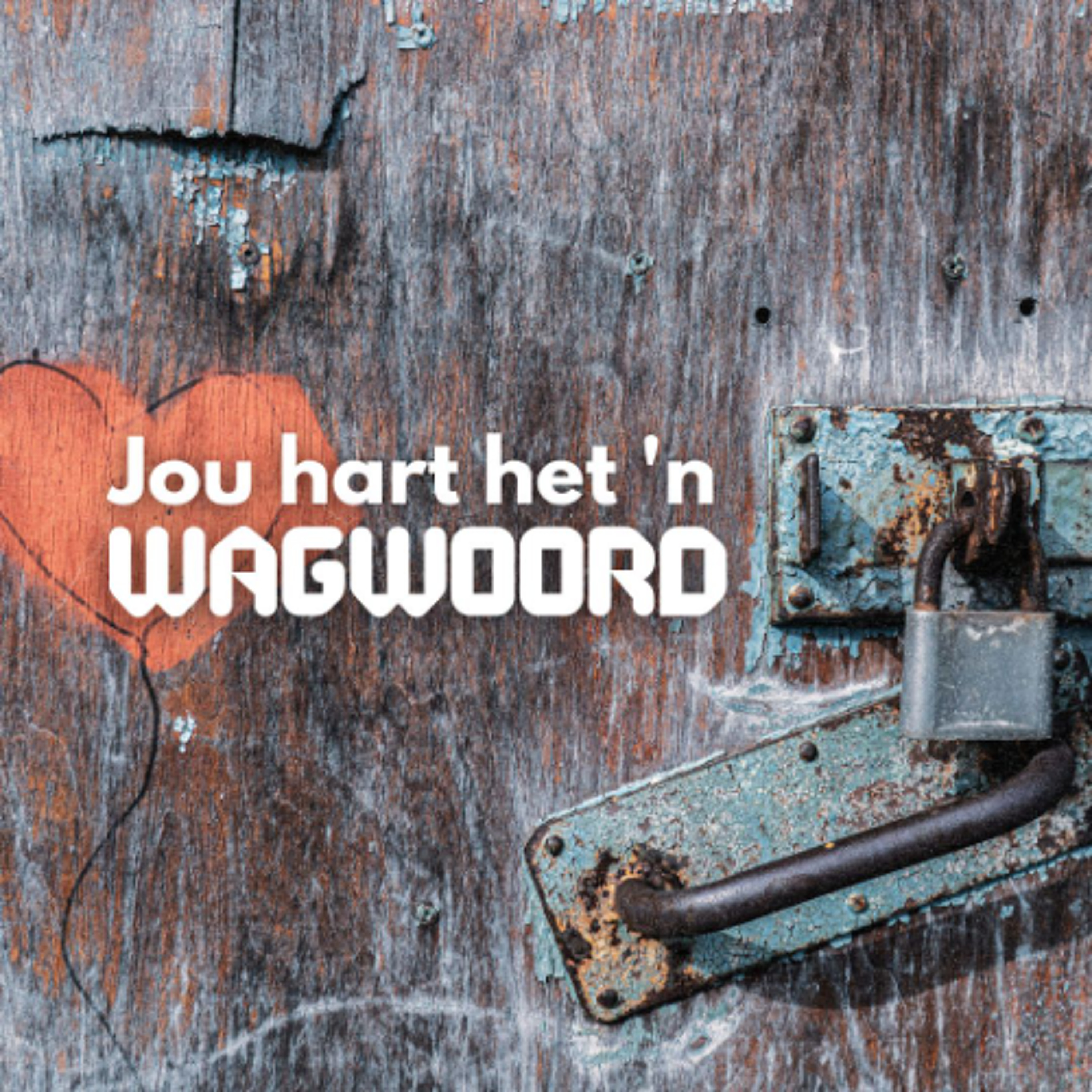 Jou hart het 'n wagwoord deur Theo Geyser