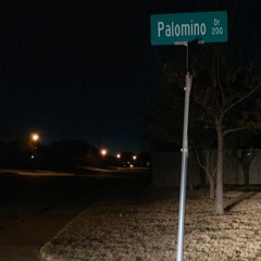 Palomino Dr (Producer. paryobeats)