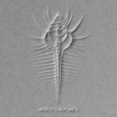 afgang - hvem ved