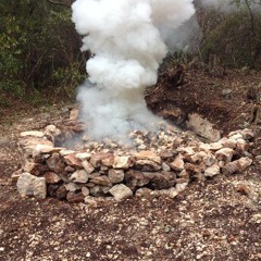 S1 Ep1 - Ancient Maya Burnt Lime (w/ Dr. Ken Seligson)