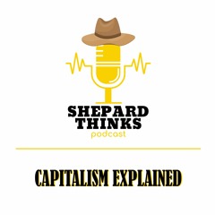 Capitalism Explained In A Simple And Kind Manner - Podcast