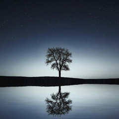 Lonely Place (Vocal)