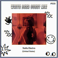 WDR Guest Mix #025 - Stella Electra
