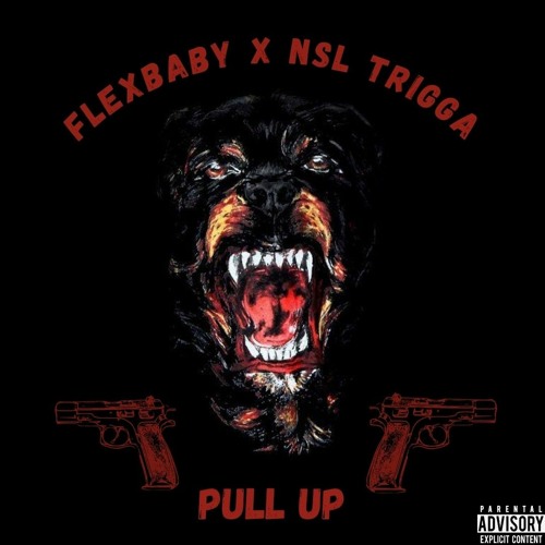 Stream FlexBaby x NSL Trigga - PULL UP ( Prod.Flexbaby) by FlexBaby ...