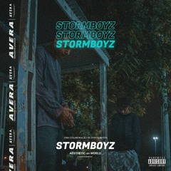 1. Zvnt x Mustv - Storm