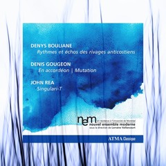 Denys Bouliane - Rythmes et échos des rivages anticostiens