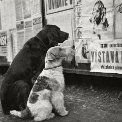 The Gate of Passage Doors