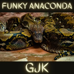 Funky Anaconda