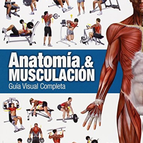 VIEW PDF ☑️ Anatomía & Musculación. Guía visual completa (Color) (Deportes) (Spanish