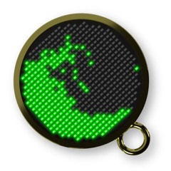 sim pin