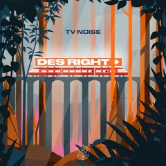 TV Noise - Des Right