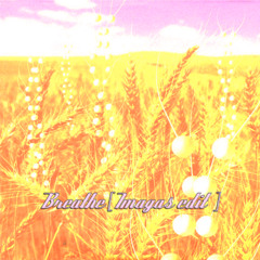 Télépopmusik - Breathe [imagas EDIT]