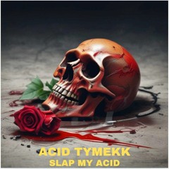 Premiere: Acid Tymekk - Slap My Acid
