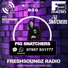 Pig Snatchers Prime Cuts November 24