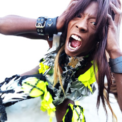 Simios marcha 2025 version estudio @muten