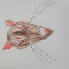 Our Generation - Zog Bogbean (Marcy Playground) cover