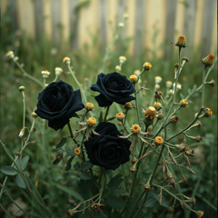 99 Black Roses mix #2