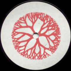 RHYTHM003 - The Early Sound Collective - Early Cuts