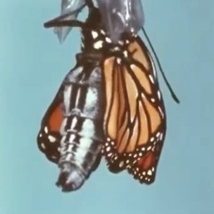 A good man with a broken heart