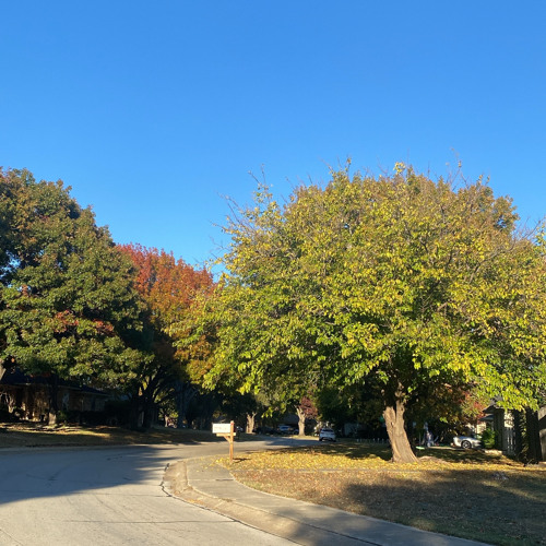 Building On (Los Vibras Remix) Sondae