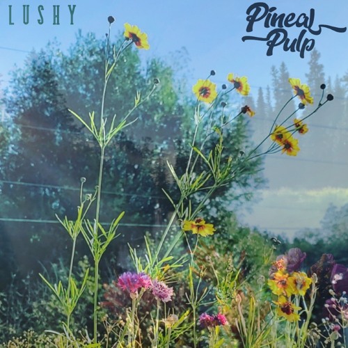 Lushy