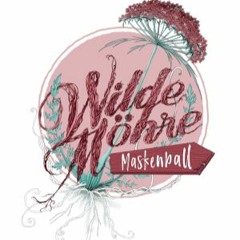 Wilde Möhre Festival Sets