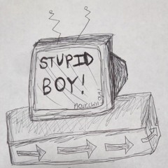 stupid boy