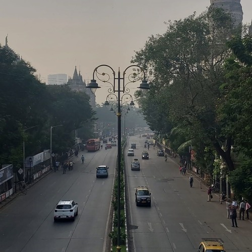 snakes dont warn when they bite