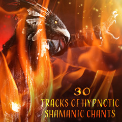 Shamanic Meditation Journey