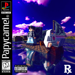 Papycamel - Cashready (Vinogradov)