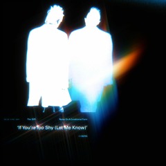 If You're Too Shy (DJ Micropulse Remix)
