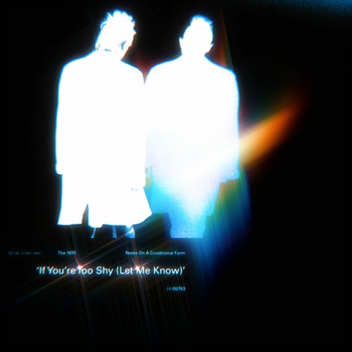 If You're Too Shy (DJ Micropulse Remix)