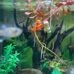 Vinylmix__15.11.2025