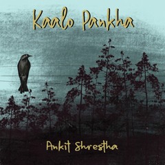 Kaalo Pankha