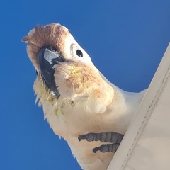 Friday The Freaks Come Out #11