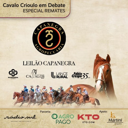 Em Busca do Cavalo Crioulo 