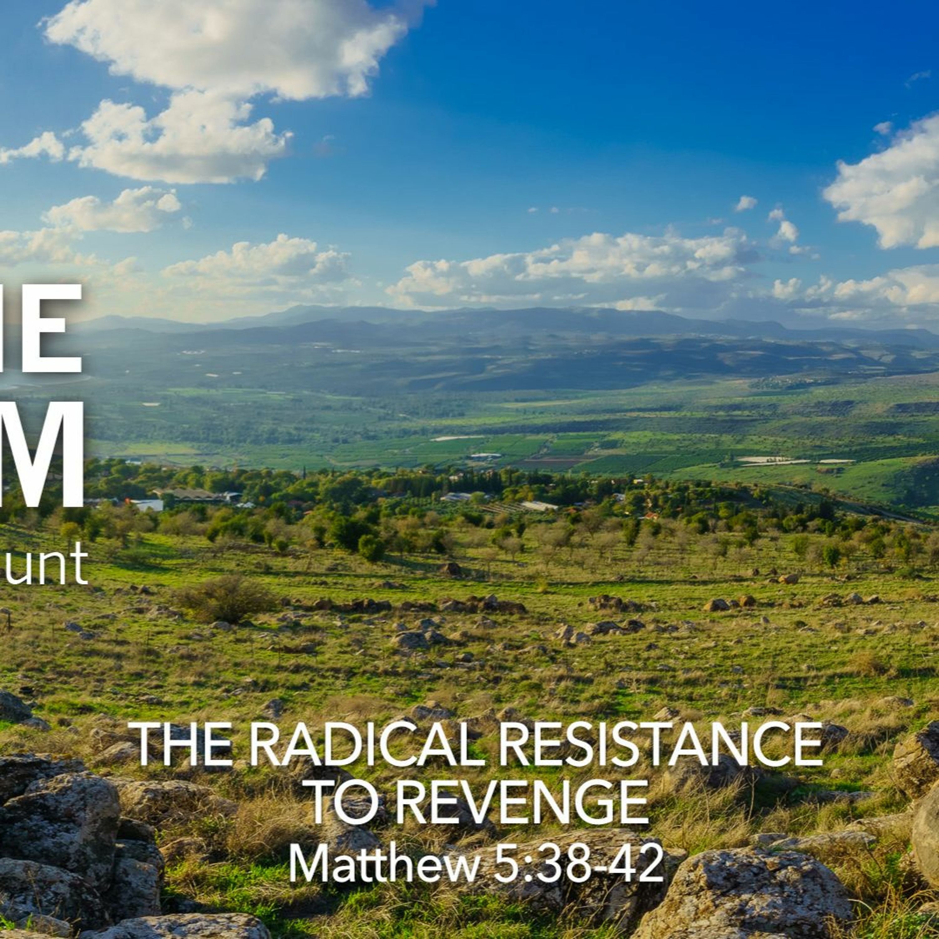 The Radical Resistance to Revenge (The Hub)