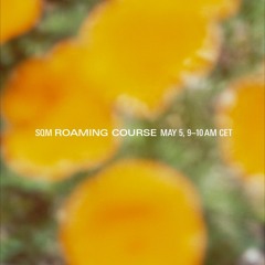 Roaming Course Nr. 36 (23/05/05, Radio 80000)