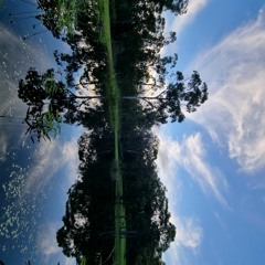 Carcoola Park -  Mardi Gras 2022